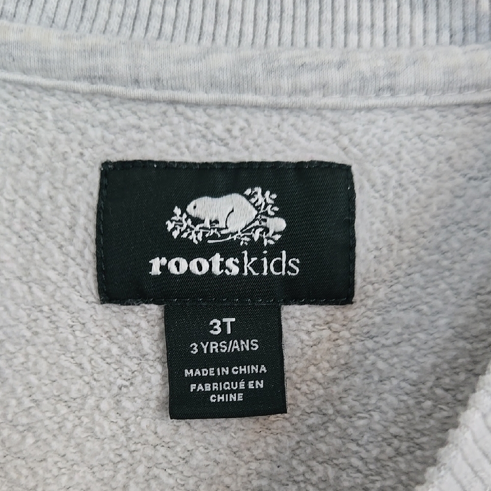 🇨🇦 Roots Kids Gray Cartoon Beaver Winter Sweatshirt, Size T3 ~ EUC - Picture 5 of 8